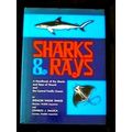 Sharks and Rays