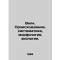 Wolf. Origins, systematics, morphology, ecology...