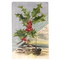 A JOYFUL CHRISTMAS used antique postcard by Ste...