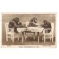 YOUNG CHIMPANZEES AT TEA unused postcard by LON...