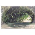 BANYAN STREET, BOCA GRANDE, FLORIDA, US used po...