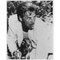 PHOTOGRAPH - MIAMI VICE 23 (TV SERIES)