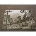 Frith Postcard - Pathway to Danesborough, The Q...