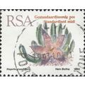 SOUTH AFRICA, SUCCULENT, Stapelia grandiflora, ...