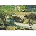 6x4 Continental size printed postcard Betws-y-C...