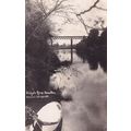 Waikato River Hamilton New Zealand Rare Frank &...