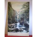 (BETTWS) BETWS-Y-COED, THE FAIRY GLEN.. unused ...