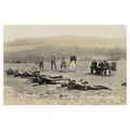 rp07637 - Rifle Butts , Shanklin , Isle of Wigh...