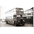 Black & White Photo of Thames Valley Traction C...