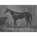 BLUE GOWN 1890 Racehorse Derby Ascot - John Wel...