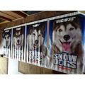 SNOW DOGS - A WALT DISNEY MOVIE BANNER WITH DEM...