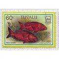 TUVALU 1997 FISH SERIES 60c RED BASS USED MARIN...