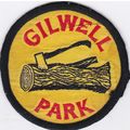 Scout Badge UK - Gilwell (Axe & Log) - Used (H2)