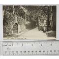 vintage postcard Jersey, Vinchelez Lane