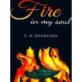 Fire In My Soul