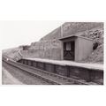 Railway Station Photo Llangelynin Halt GWR Camb...