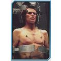 Merlin's Spider-Man (2002) Sticker Collection -...