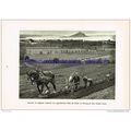 Horse Drawn Farming, Near St Michaels Mount, Co...