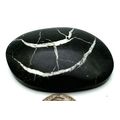 Black Septarian Freeform Gemstone Cabochon 468