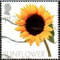 2023 Flowers 1st Value. Sunflower. Fine Used