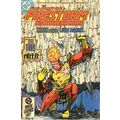 Firestorm (Vol 2) The Fury of # 034 NM MODERN A...
