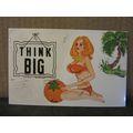 AMERICAN HUMOUR used postcard 1975 pm Florida o...