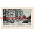 Street with Sacred Cows, Bombay (Mumbai), Indii...