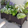 Modern 2-Piece Indoor Outdoor Raised Garden Pla...