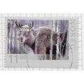 NORWAY 2008 11Kr ELK MOOSE ALCES ALCES WILDLIFE...