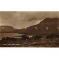 Skye Ponies, Glen Brittle, Scotland, Valentine'...