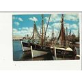 Belgium OSTEND Fishing Boats Postcard by Kruger...