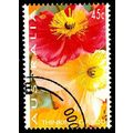 Australia 1994 Flowers 45c Used Stamp Poppy.