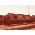 Railway Photo BR Class 37 37302 Margam Depot 19...