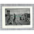 (8031) Newhaven Harbour Sussex - 1955 Cutting