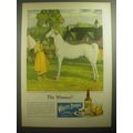 1946 White Horse Scotch Ad - The Winner