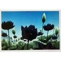 Magic: The Gathering Weatherlight Postcard Duel...