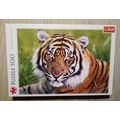 Adult Tiger 500 Piece Jigsaw 48cm x 34cm