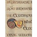 Book Of Kells Crosses Fills The Bowl St Lukes G...