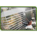 Merlin's Spider-Man (2002) Sticker Collection -...