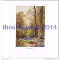 Bluebells, Ripley, Surrey, England, Book Illust...
