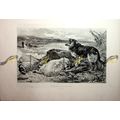 Morning After The Storm, J S Noble, Book Illust...