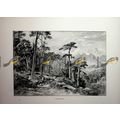 Valdoniello, Corsica, France, Book Illustration...