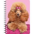 Poodle, Red Poodle, 3D Notebook ideal birthday ...