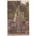 B903 BONCHURCH - JACOB LADDER . PRINTED POSTCARD