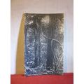 PRIMEVAL FOREST WITH LIANA, LIANES unused antiq...