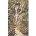Shanklin Chine Isle of Wight Postcard (IOW76453)