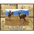 Olympic National Park Laser Engraved Wood Pictu...