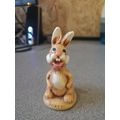 Moorcraft Bunny boxer