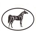 Equine Breed Oval Car Window Decal Black & Whit...
