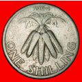 Ⰶ GREAT BRITAN (1964-1968): MALAWI ★ 1 SHILLING...